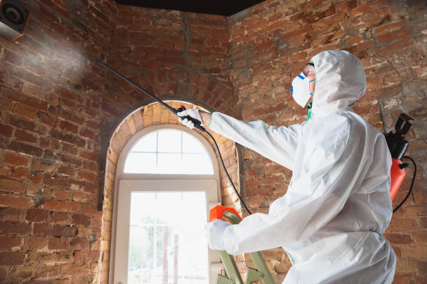 Mold Removal for HVAC Installations in Fairwood, MD